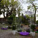 La struttura � circondata da un colorato giardino botanico (foto di Gennaro Gargiulo)